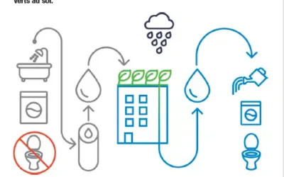 Soprema et Aquatiris présentent Skywater Clear une solution de traitement végétalisé des eaux usées en toiture