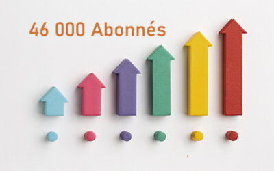 Filière Bois un leader incontestable